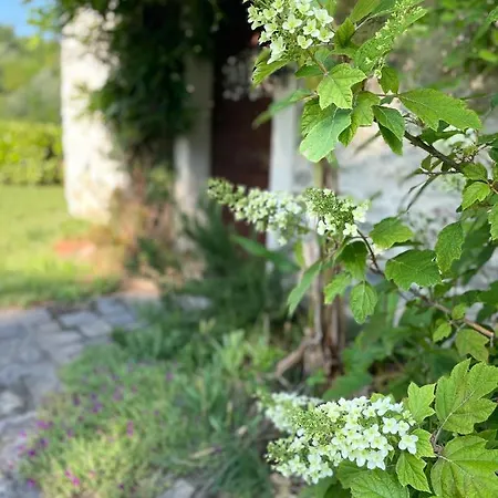 Mulino Gorretta Langhe House With Swimming Pool Torre Bormida