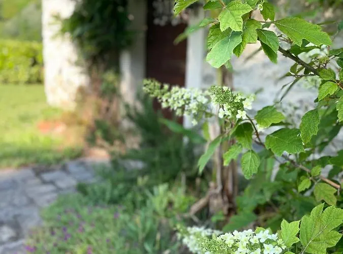 Mulino Gorretta Langhe House With Swimming Pool Torre Bormida